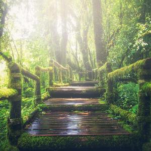 小雏妓被三个男人玩弄漫画
